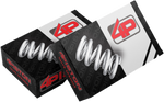 4 Piston Advanced Performance RACE Valve Spring Kit (S2000)